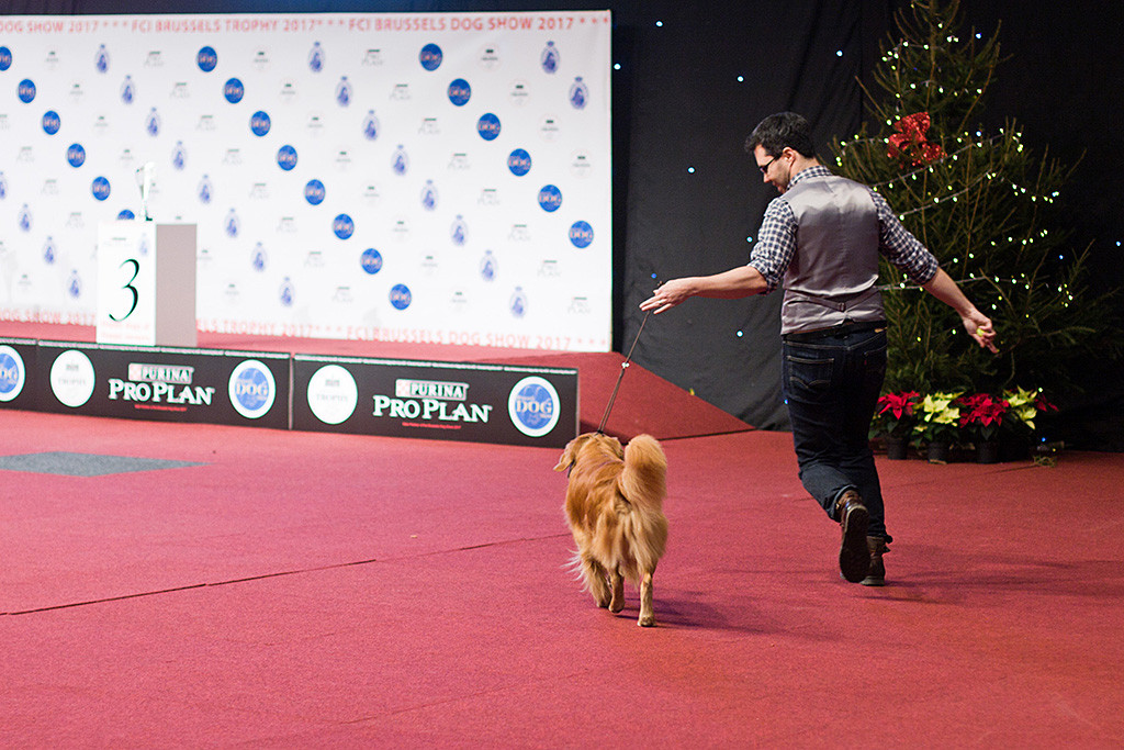Edison läuft an Stephans Seite seine Abschlussrunde