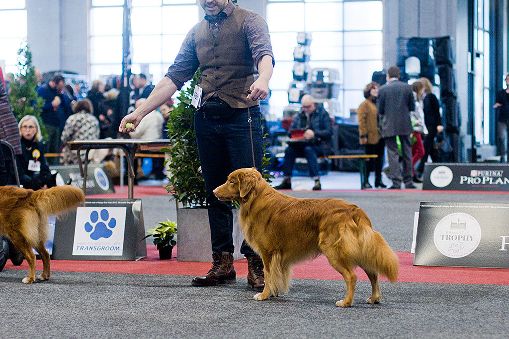 Edison steht in der Championklasse neben Stephan im Ring