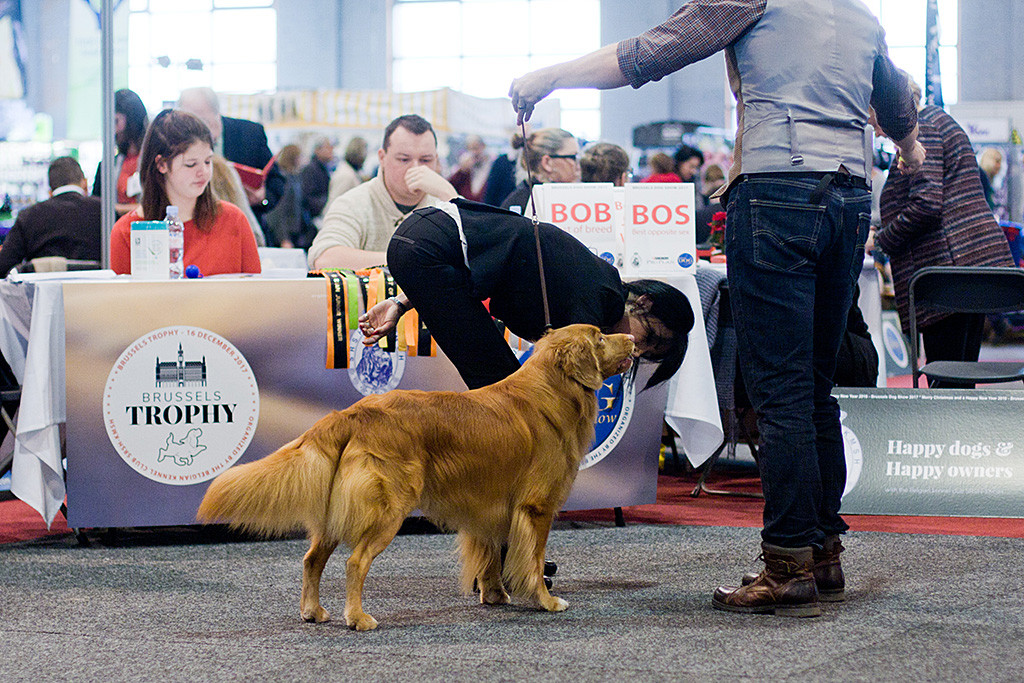 Edisons Brust wir von der Richterin abgetastet