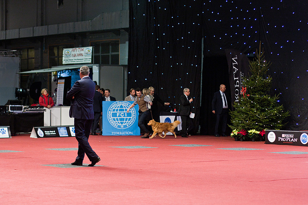 Edison läuft an der Seite von Stephan in den Ehrenring ein