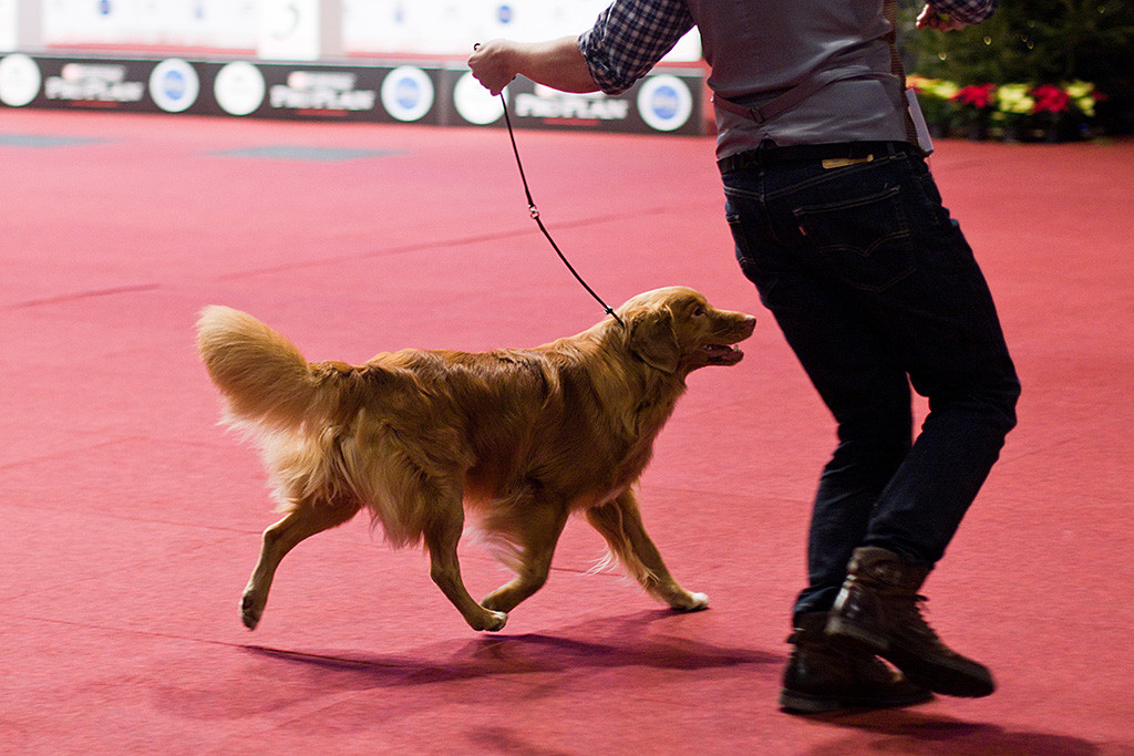 Edison bremst an Stephans Seite kurz bevor es an die Aufstellung geht