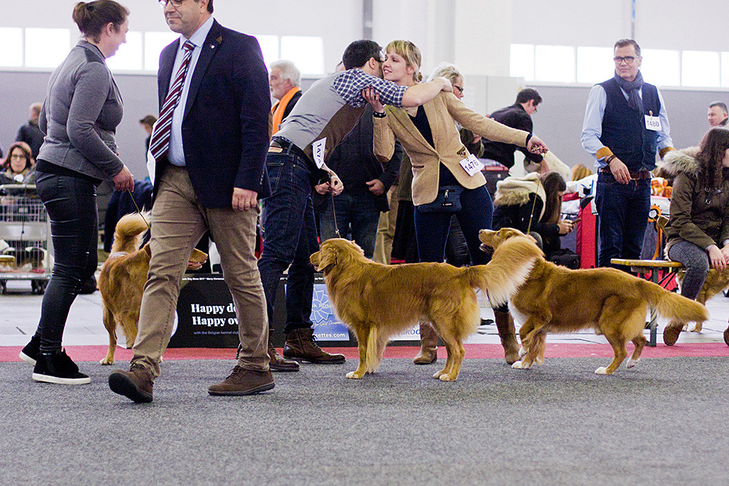 Edison wird bester Rüde während Isabell und Nikie Stephan dazu gratulieren
