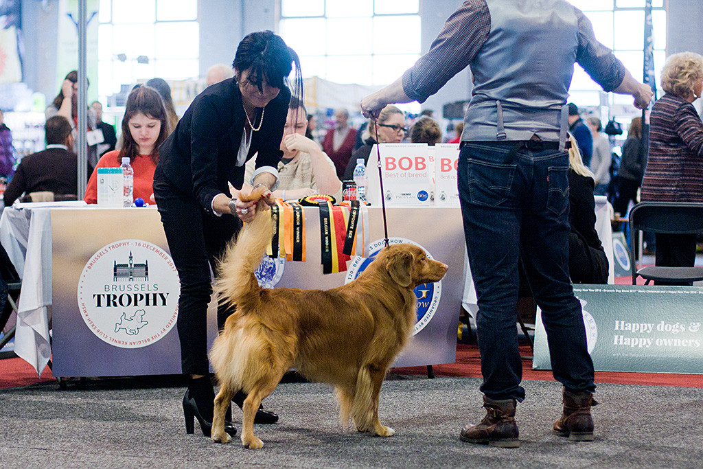 Edisons Rutenspitze wird von der Richterin haargenau untersucht