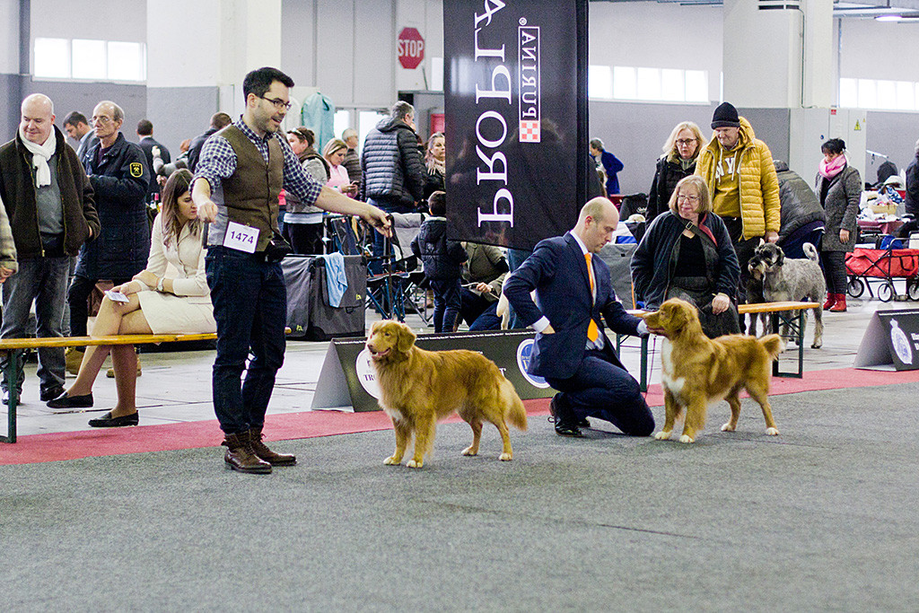 Edison steht mit Stephan neben Rider und seinem Vorführer