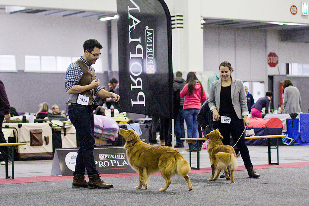 Edison und Ivalu im Ring kurz bevor sie um BOB und BOS laufen