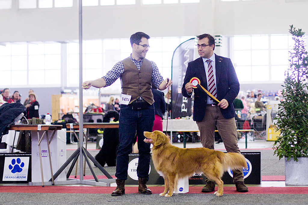 Edison posiert neben Stephan und dem Richter, der die CACIB-Schleife in der Hand hält