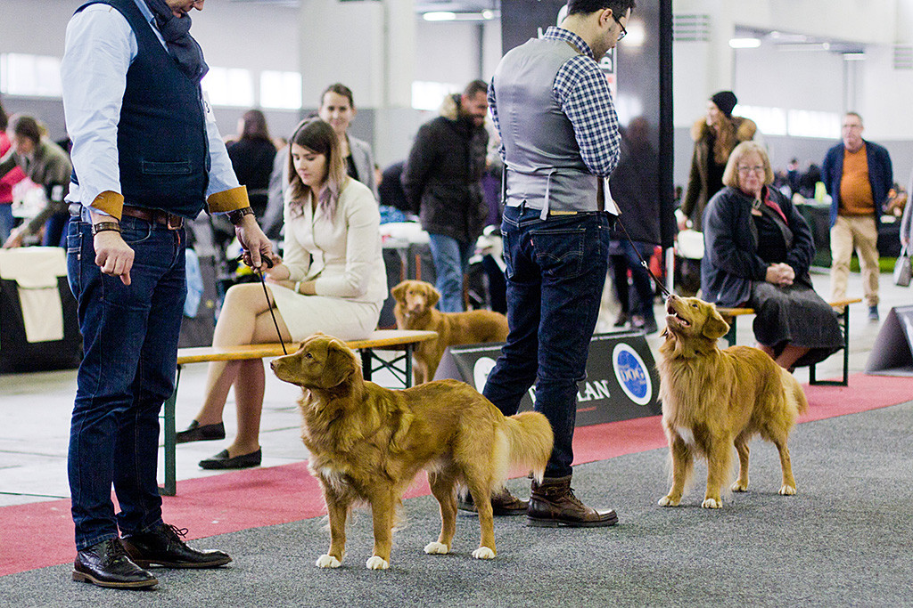 Edison steht mit Stephan neben Henk und seinem Baerke