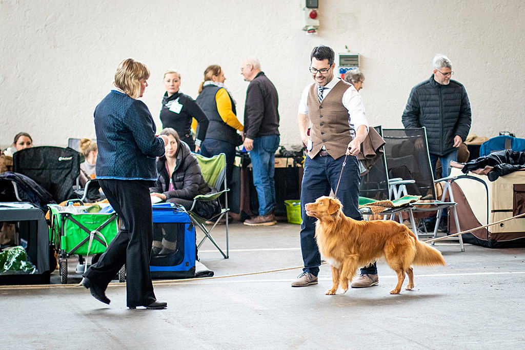 Edison steht an der Seite von Stephan und schaut die Richterin ganz gespannt an, die auf ihn zukommt