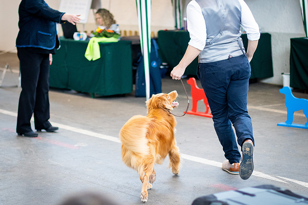 Edison läuft an Stephans Seite zu ihm hochschauend die letzte Kurve während die Richterin ihm die Hand zum gratulieren entgegenstreckt