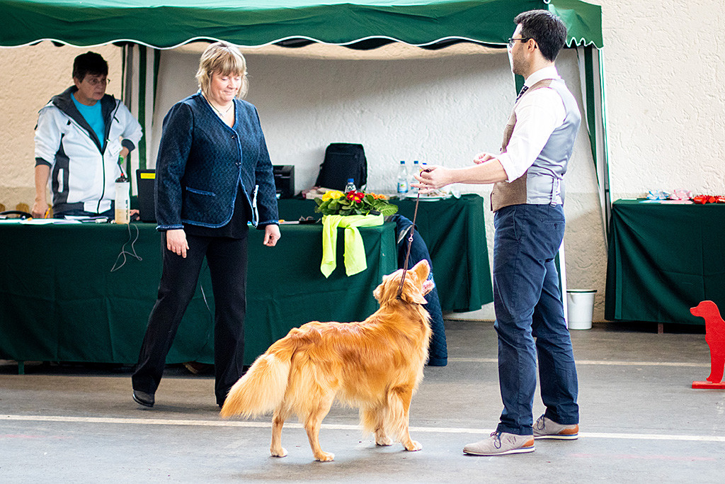 Edison wird von Stephan der Richterin präsentiert, die sich ihm lächelnd nähert