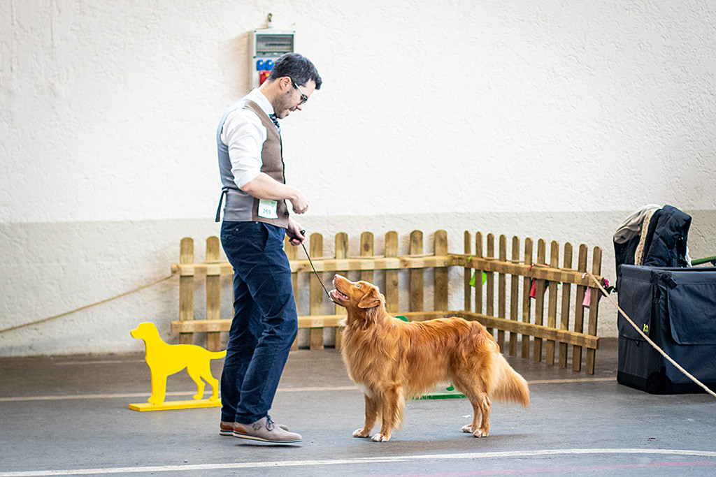 Edison steht an der Seite des Rings frontal vor Stephan und lächelt ihn dabei an