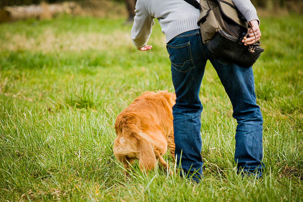 Edison wird mit Voran losgeschickt