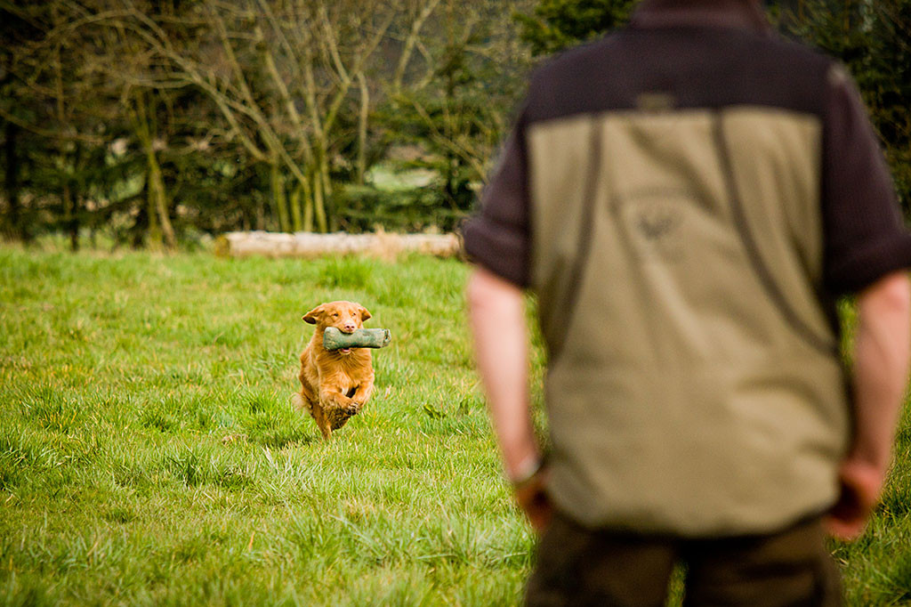 Edison läuft mit dem Dummy im Maul zurück, Thomas steht im Vordergrund