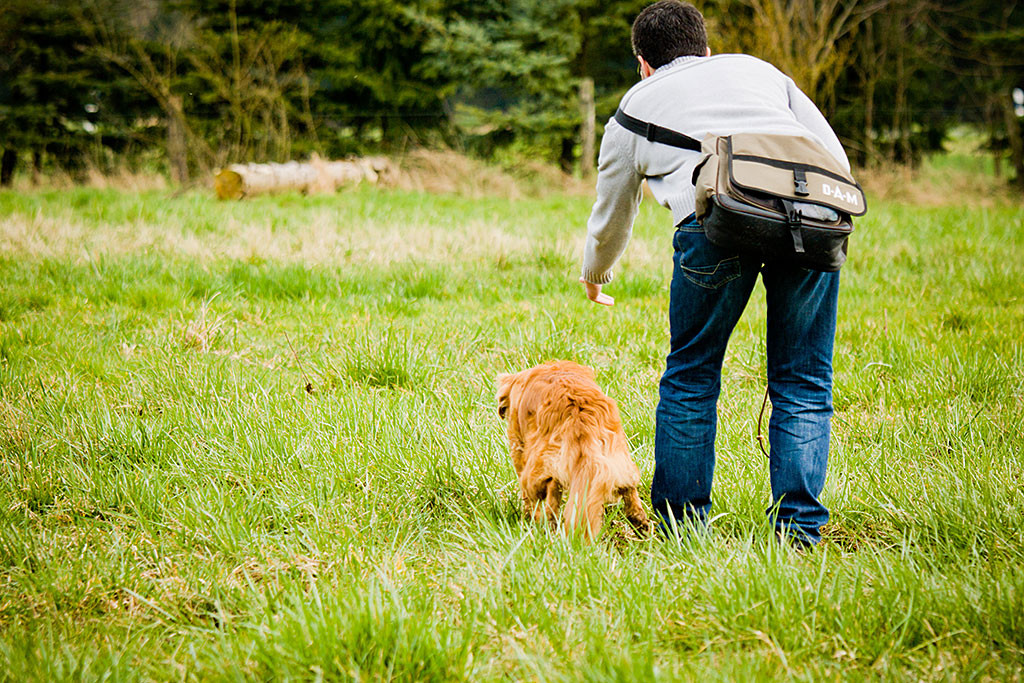 Edison wird zum Apport geschickt