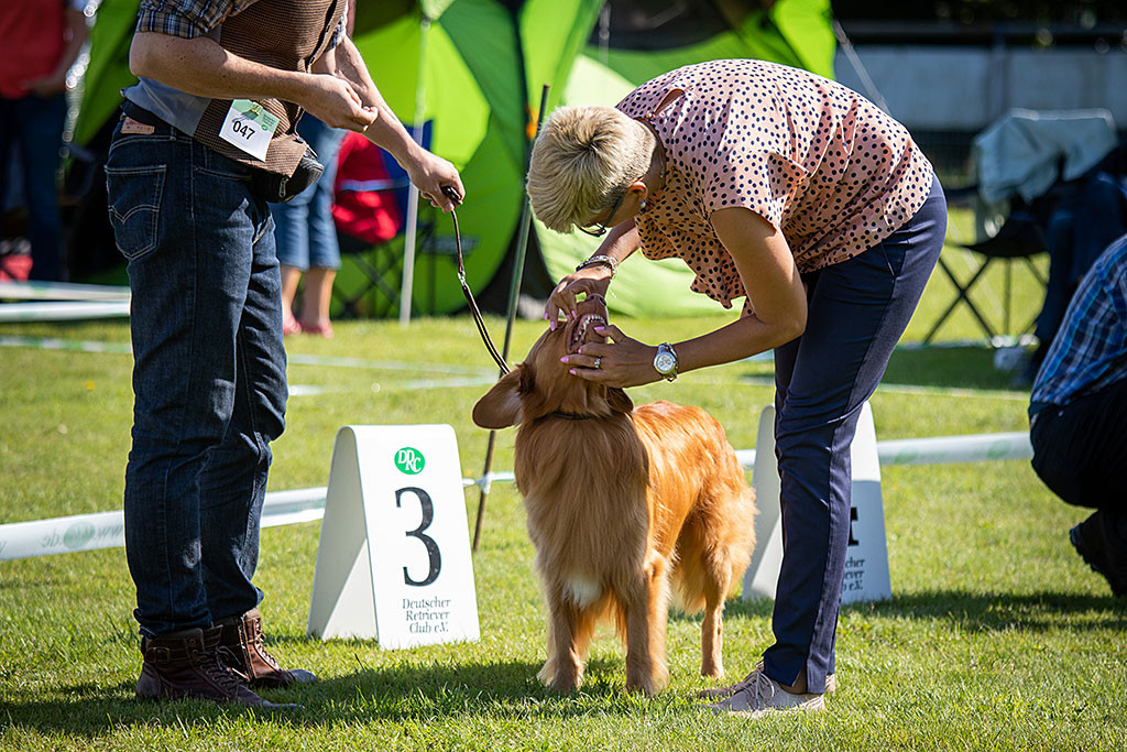 Edisons Zähne werden von der RIchterin inspeziert