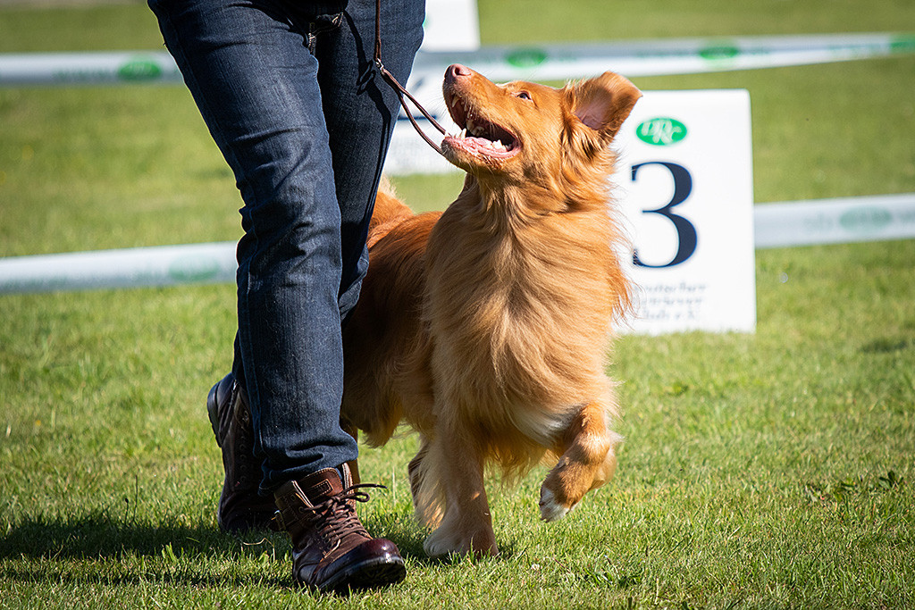 Edison läuft neben Stephan und lächelt dabei zu ihm hoch