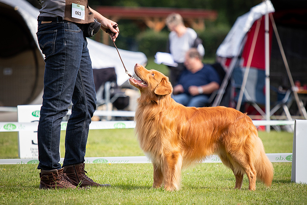 Edison steht vor Stephan und lächelt zu ihm hoch