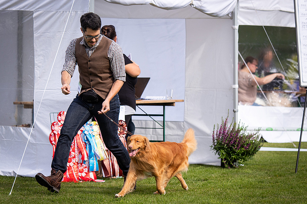 Edison läuft freudig neben Stephan und präsentiert sein Gangwerk