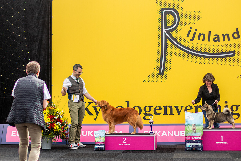 Edison steht auf dem Podest für den Zweitplatzierten, rechts daneben steht die erstplatzierte Schwedische Wallhündin