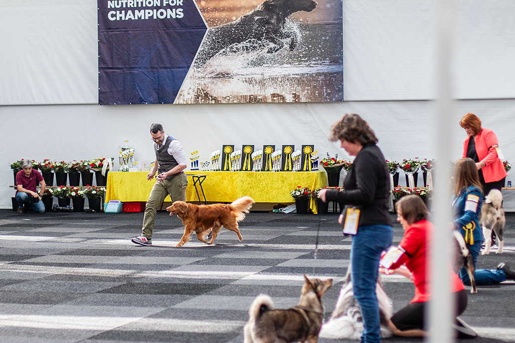 Edison läuft an Stephans Seite durch den Ring, beide freuen sich