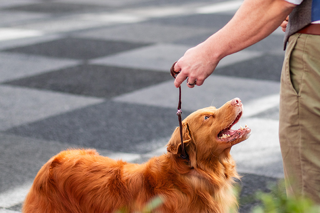 Edison in Nahaufnahme während er lächelnd hoch zu Stephan schaut