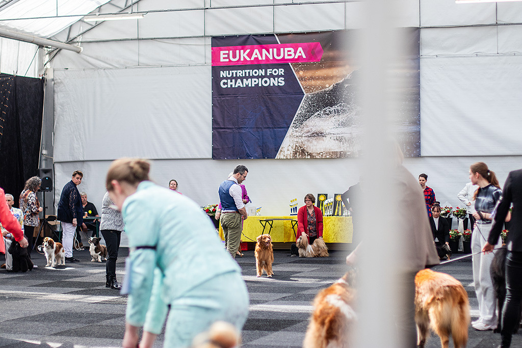 Edison steht in Mitten aller Veteranenbesten der Show