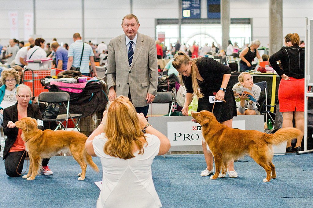 Tollca’s Blueberry Martini, Richter Dr. Beyersdorf, Shaggy Toller’s White Banjo Boy