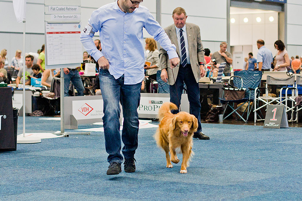 Edison läuft mit Stephan die gerade Bahn, der Richter schaut von hinten