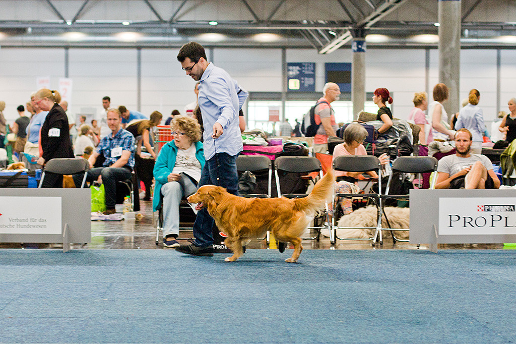 Edison läuft mit Stephan eine Runde im Ring