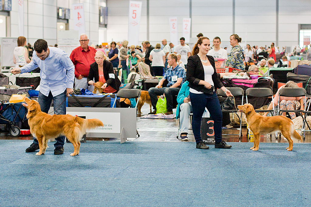 Edison und Ivalu im Vergleich, Herrchen und Frauchen stehen dahinter