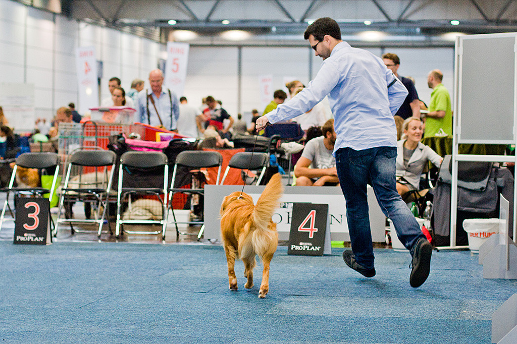 Edison läuft mit Stephan die Kreisbahn im Ring