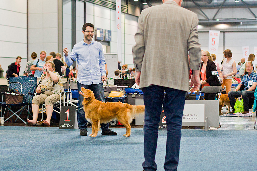 Edison steht lächelnd vor Stephan während der Richter ihn nochmal genau begutachtet