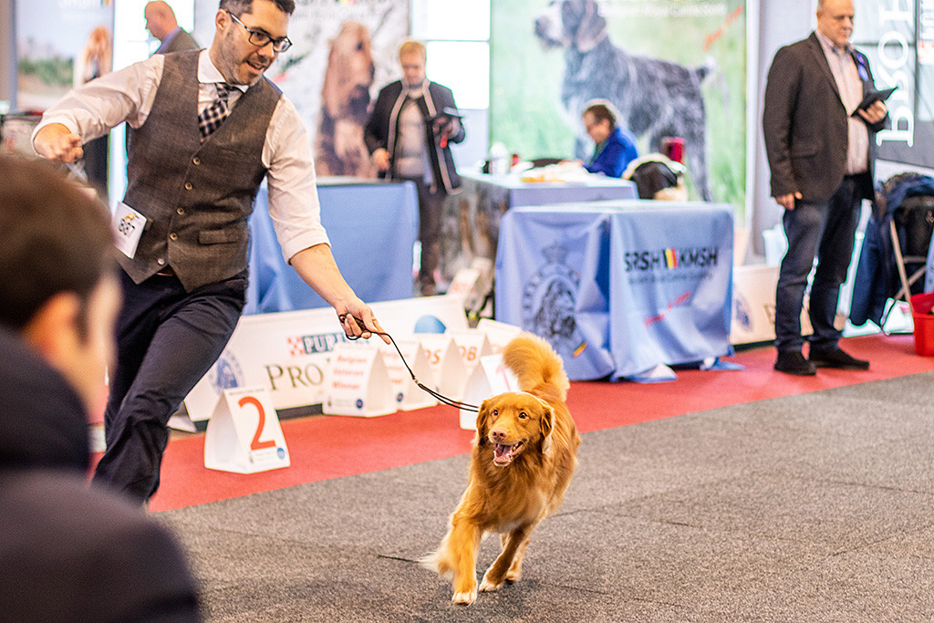 Edison läuft freudestrahlend an Stephans Seite durch den Ring