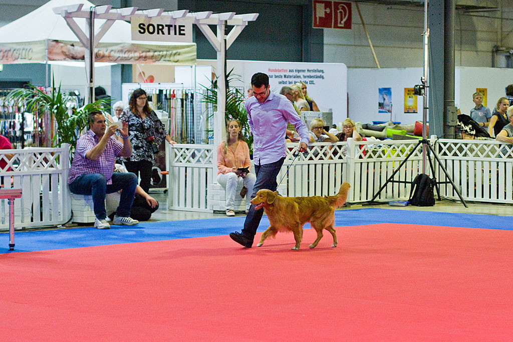 Edison und Stephan sind am Kopf des Ehrenrings angekommen