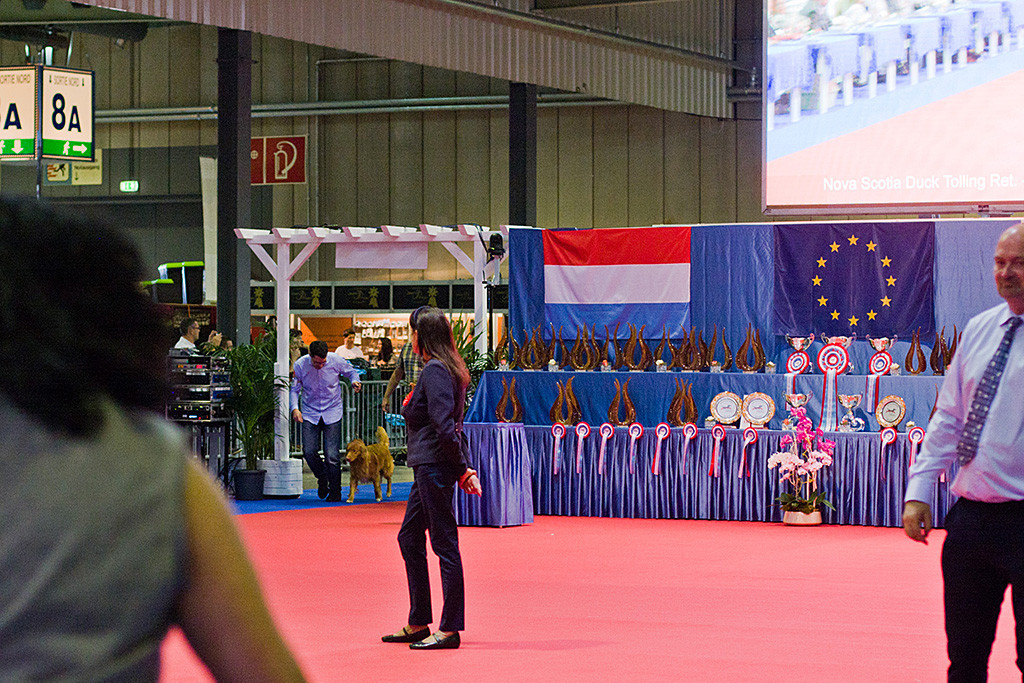 Edison läuft mit Stephan in den Ehrenring ein, in der Mitte steht die Richterin aus Polen, im Hintergrund sind die Pokale zu sehen