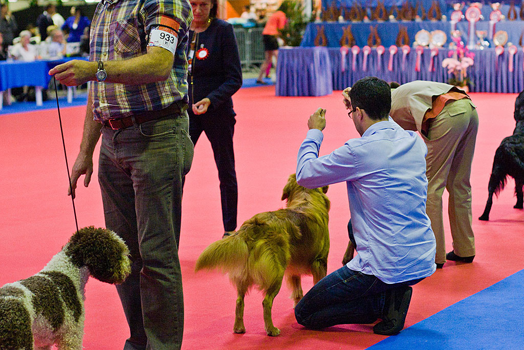 Edison wird beim Posieren von der Richterin begutachtet