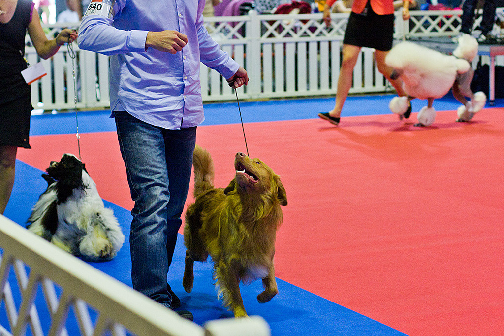 Edison schaut Stephan lächelnd an kurz bevor es zum nochmal zum Posieren geht