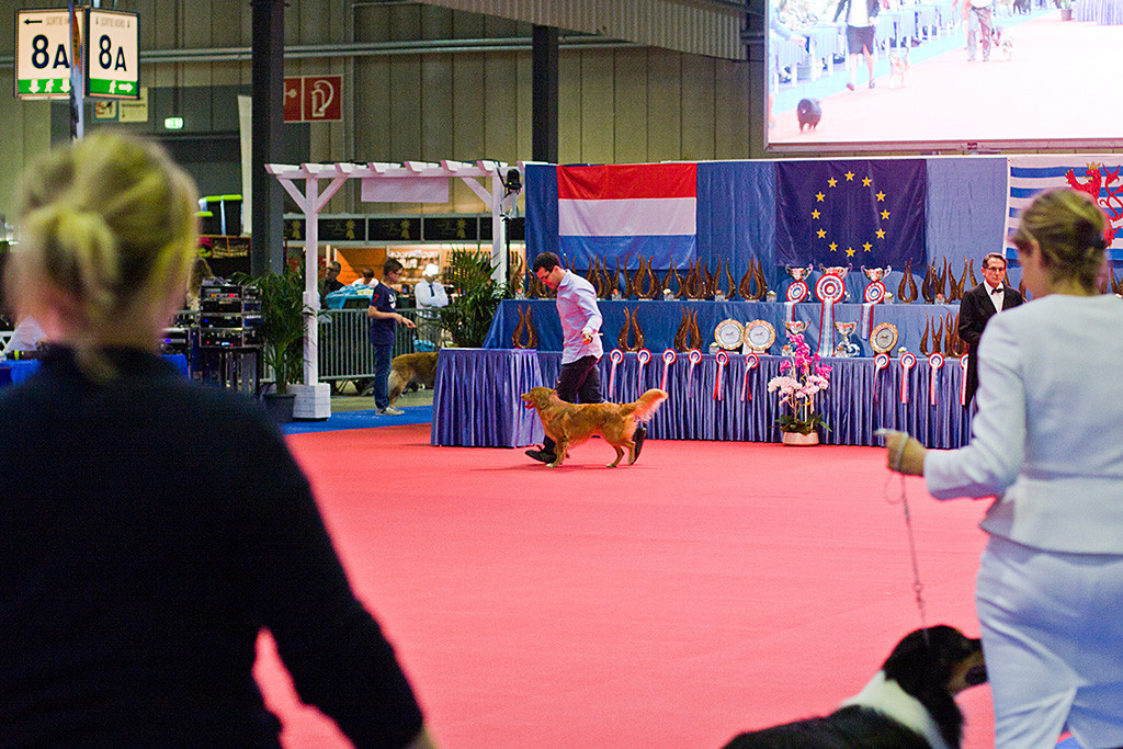 Edison läuft noch einmal mit Stephan durch den Ehrenring