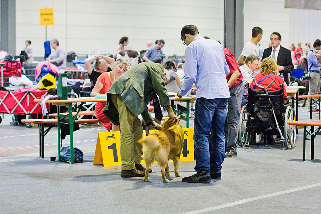 Edison lässt sich vom Richter abtasten und ins Maul schauen während Stephan daneben steht