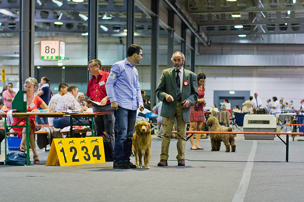 Edison steht neben Stephan, der vom Richter gesagt bekommt, wie er laufen soll