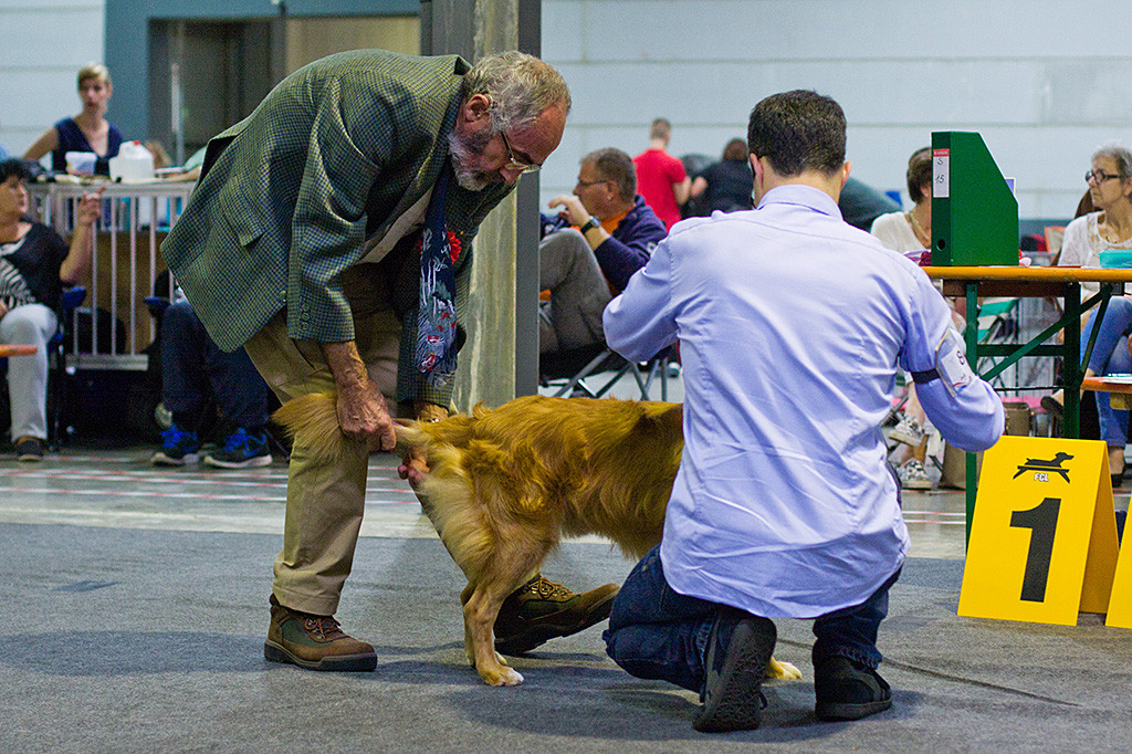 Edison lässt sich den Rutenansatz vom Richter prüfen während Stephan neben ihm kniet