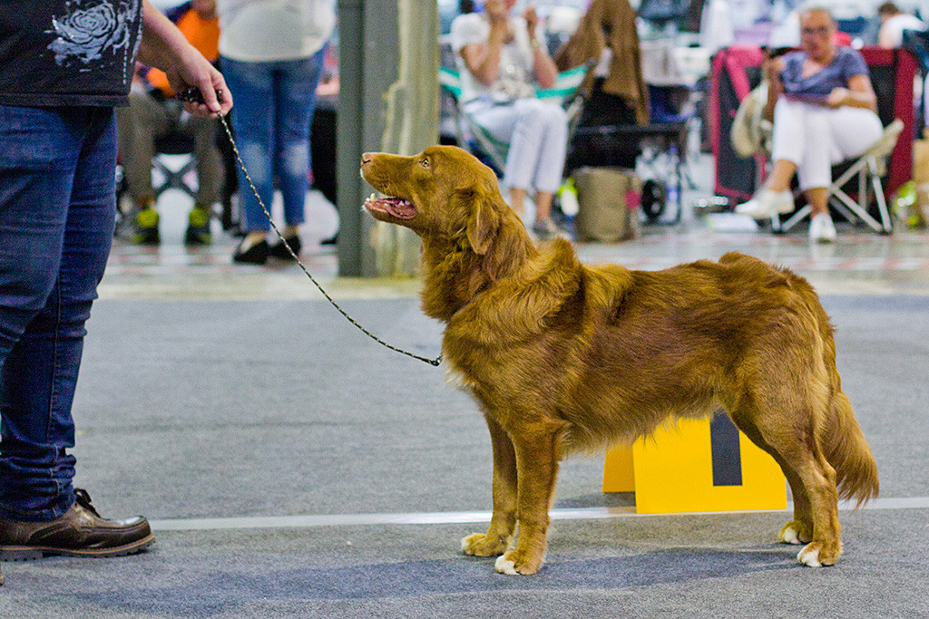 Avatar Omaticaya Eytukan Owen posiert als bester Rüde