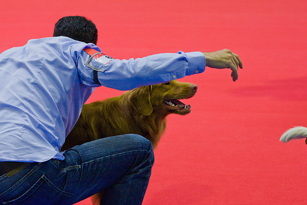 Edison lächelt während Stephan ihn gerade ein letztes Mal für die Richterin aufbaut