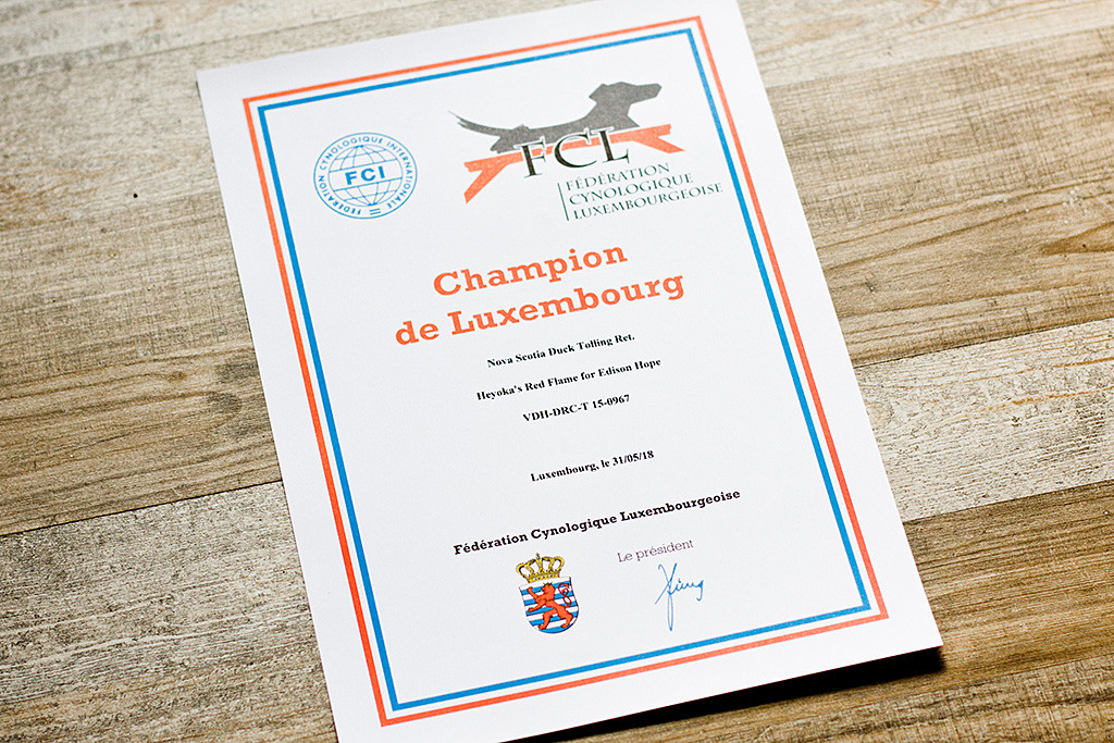 Edisons Urkunde zum Luxemburg-Champion