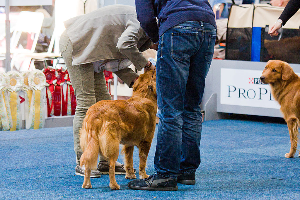 Edisons Zähne werden von der Richterin kontrolliert
