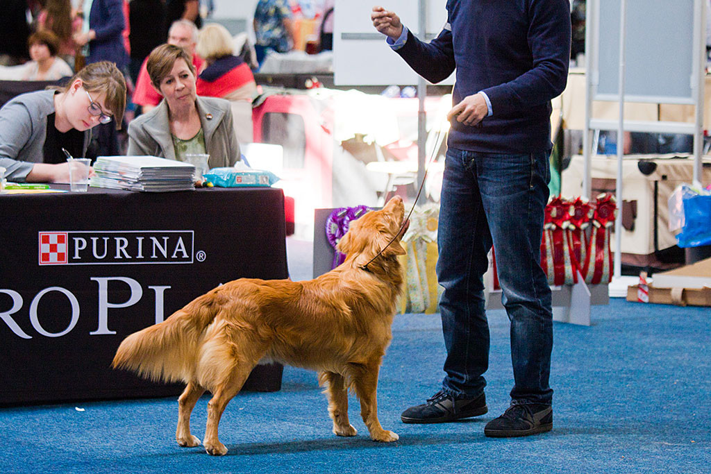 Edison steht vor dem Richtertisch und schaut zu Stephan hoch