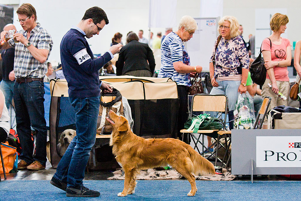 Edison steht vor Stephan und schaut zu ihm lächelnd hoch