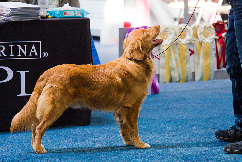 Edison in Nahaufnahme lächelnd vor dem Richtertisch