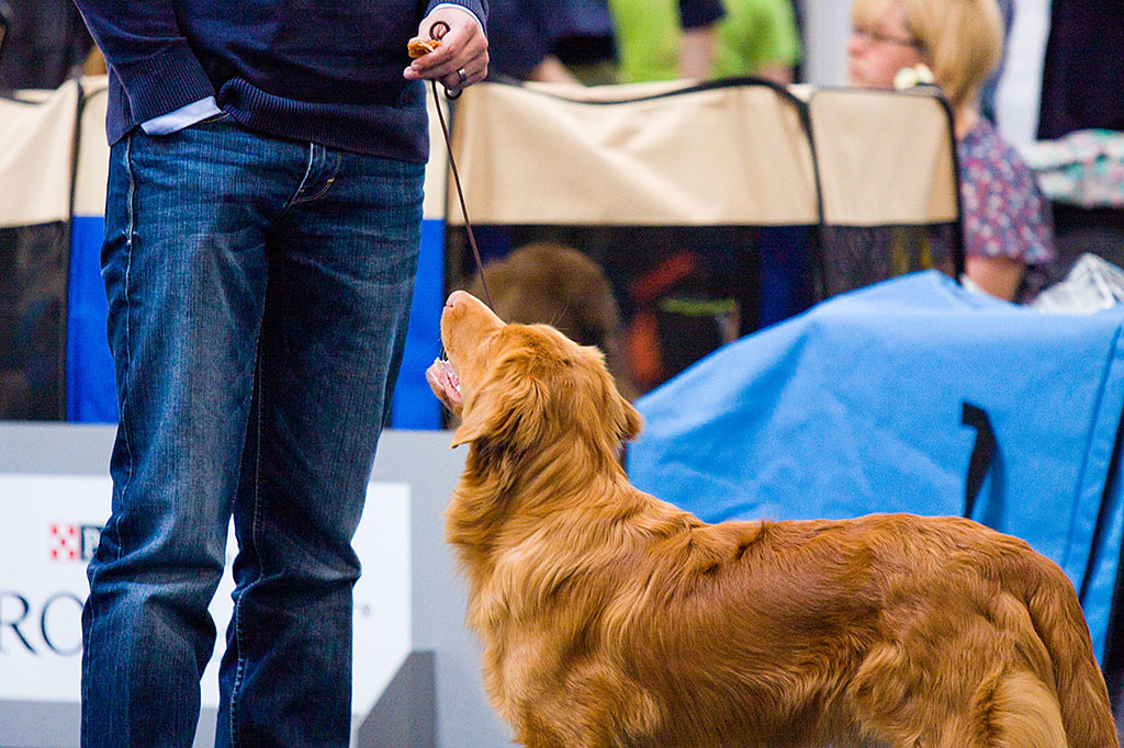 Edison schaut zu Stephan hoch, der in der Hosentasche kramt
