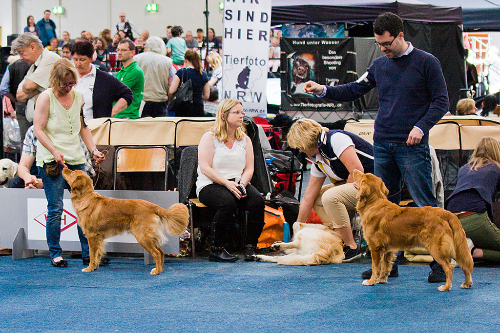 »Forestrunners Bobby« und Edison stehen im Ring